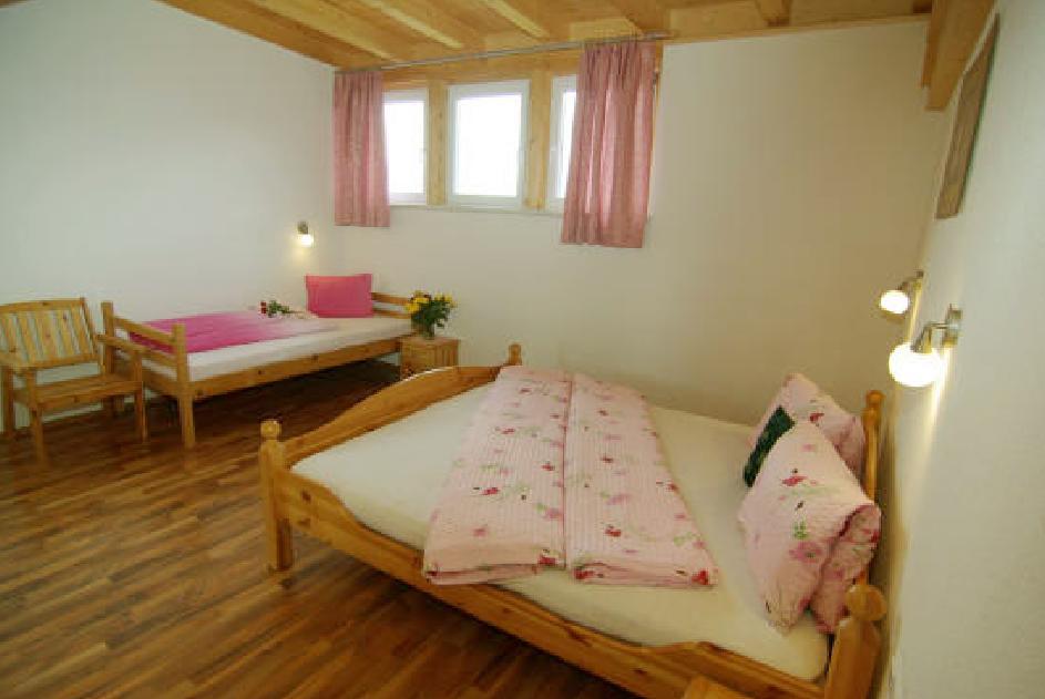 Unterlehenhof Apartment Zell am Ziller Luaran gambar